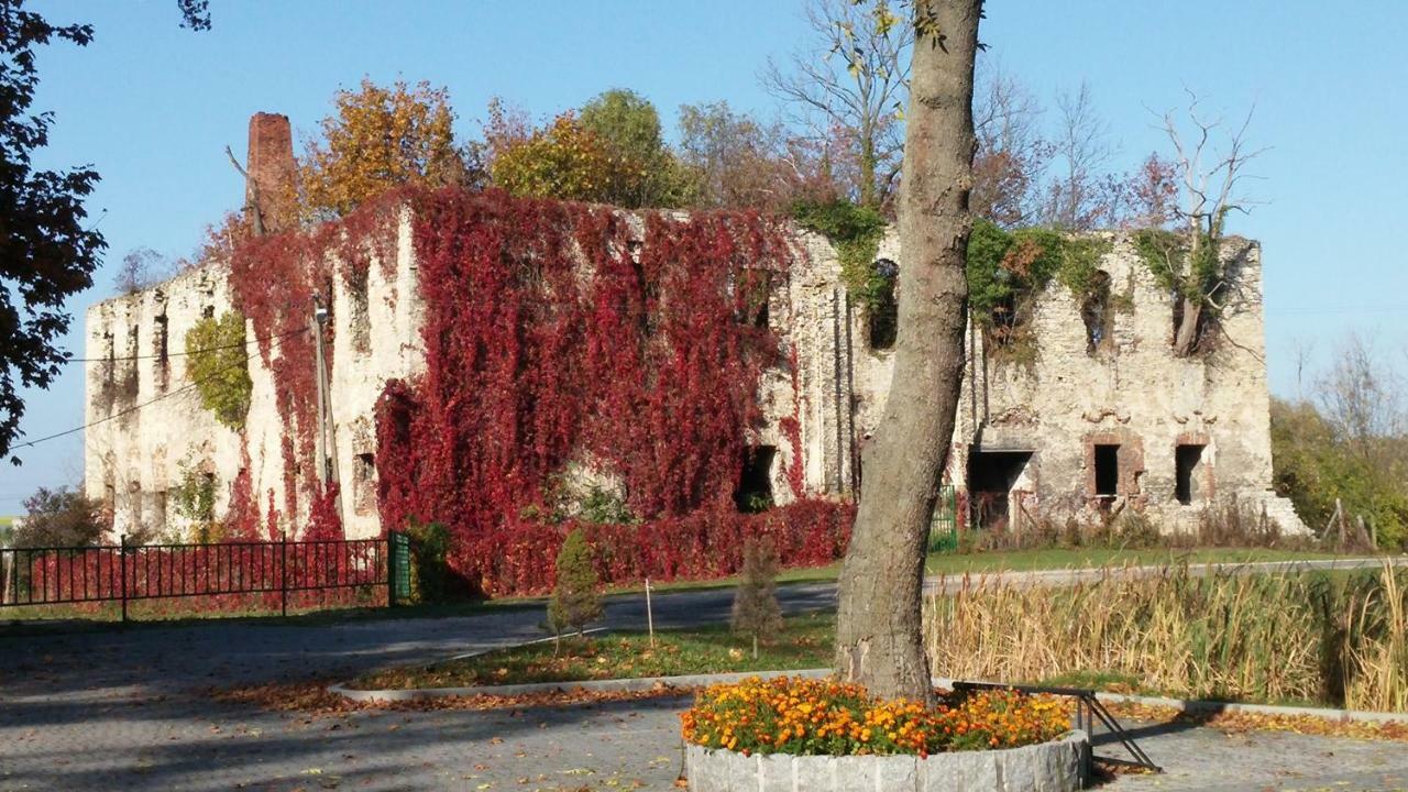 Palac Lucja Bb Zakrzów Esterno foto