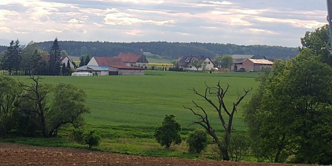 Palac Lucja Bb Zakrzów Esterno foto